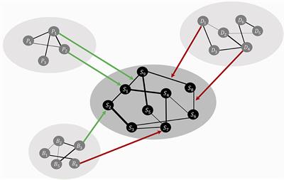 The Mental Health Ecosystem: Extending Symptom Networks With Risk and Protective Factors